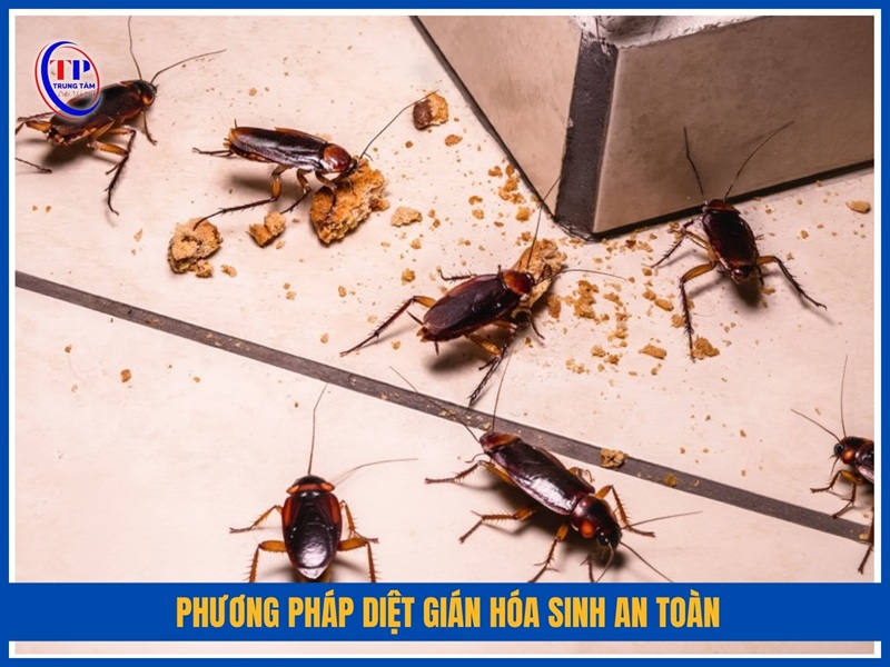 Phương pháp diệt gián hóa sinh an toàn