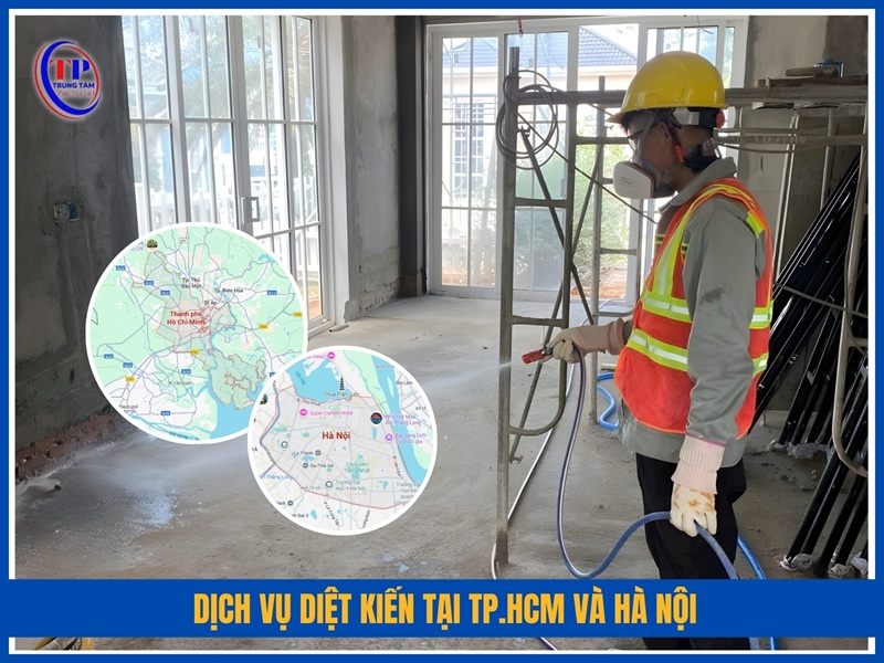 Dịch vụ diệt kiến tại TP.HCM và Hà Nội