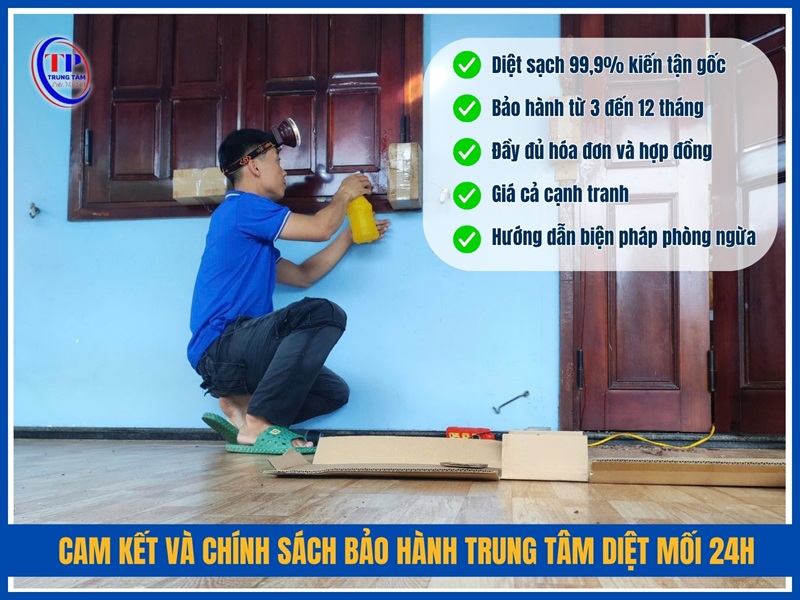 Cam kết và chính sách bảo hành