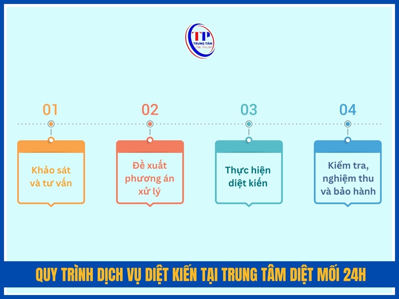 Quy trinh dich vu diet kien tai Trung Tam Diet Moi 24H