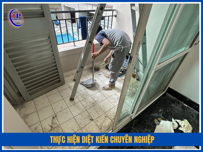 Thực hiện diệt kiến chuyên nghiệp