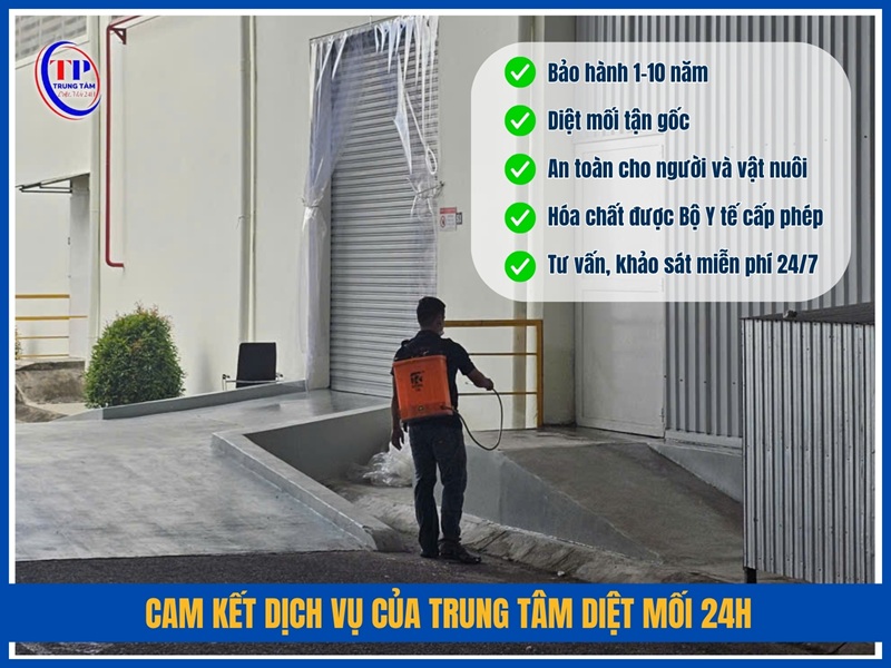 Cam kết dịch vụ của Trung Tâm Diệt Mối 24H