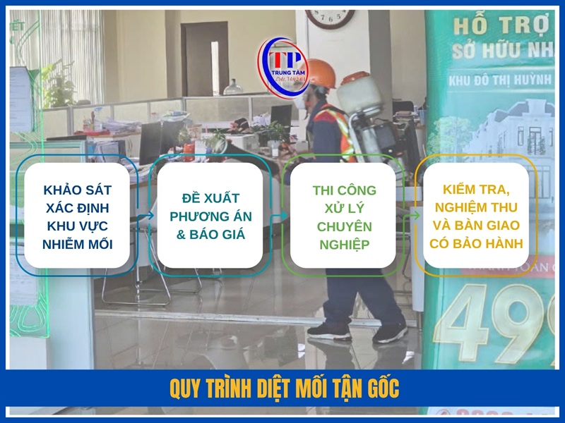 Quy trinh diet moi tan goc tai Trung Tam Diet Moi 24H