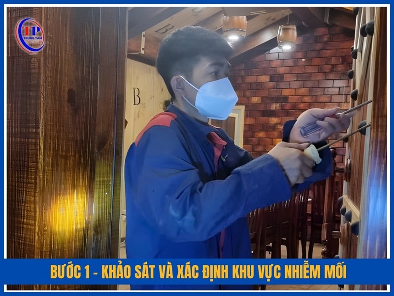 Bước 1 – Khảo sát và xác định khu vực nhiễm mối