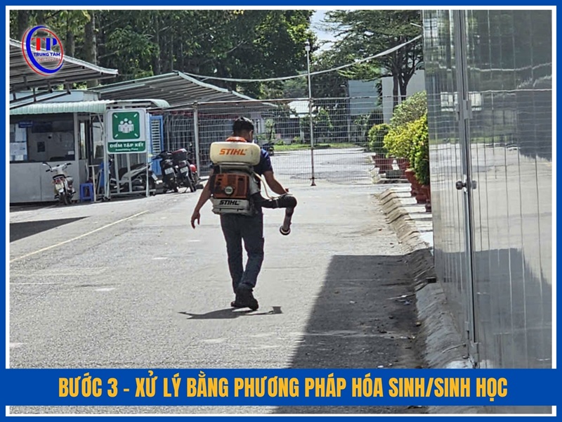 Bước 3 – Thi công xử lý bằng phương pháp hóa sinh/sinh học