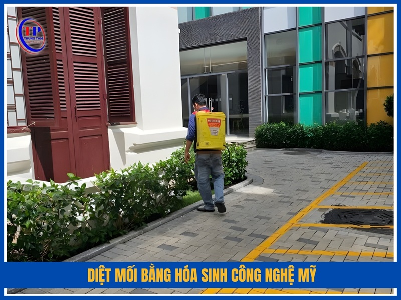 Diệt mối bằng hóa sinh công nghệ Mỹ