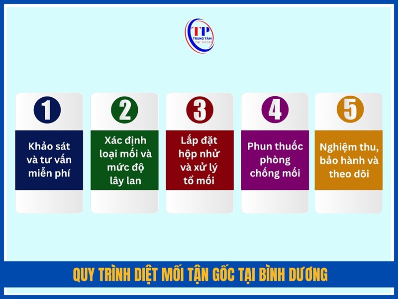 Quy trình diệt mối tận gốc tại Bình Dương