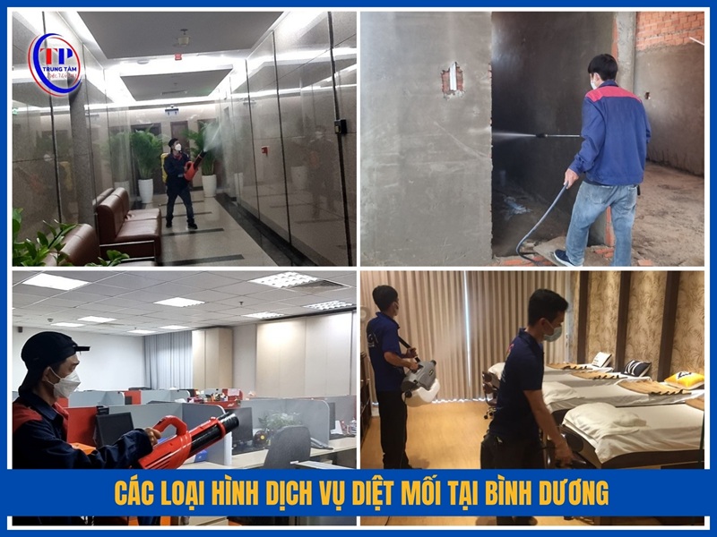 Cac loai hinh dich vu diet moi tai Binh Duong