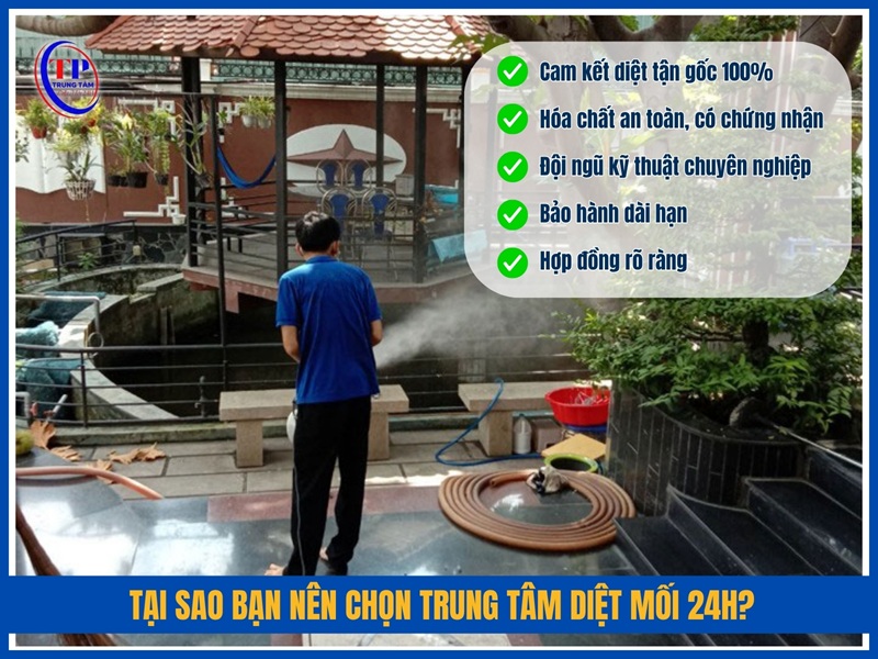 Tại sao bạn nên chọn Trung Tâm Diệt Mối 24H?