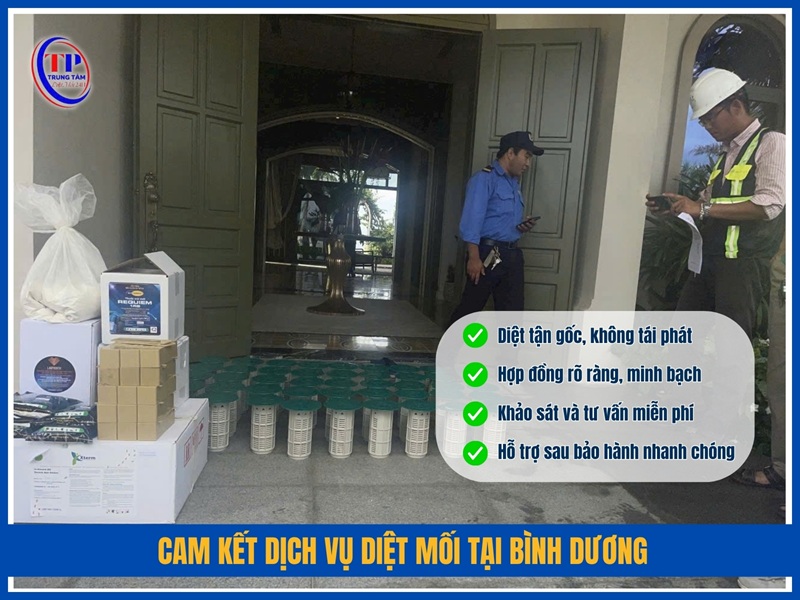 Cam ket dich vu diet moi tai Binh Duong cua Trung Tam Diet Moi 24H