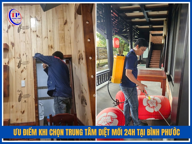 Ưu điểm khi chọn Trung Tâm Diệt Mối 24H tại Bình Phước