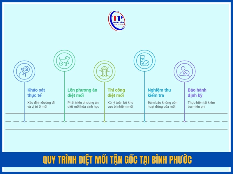 Quy trình diệt mối tận gốc tại Bình Phước