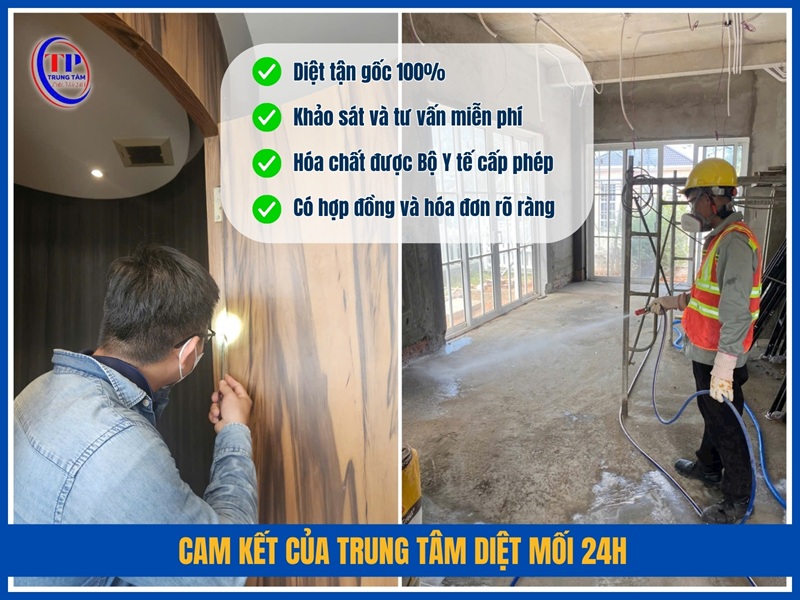Cam kết của Trung Tâm Diệt Mối 24H