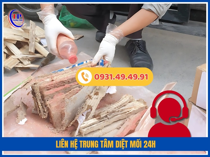 Liên hệ Trung Tâm Diệt Mối 24H