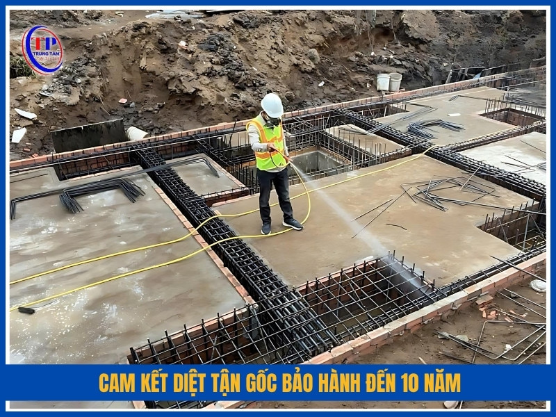 Cam kết diệt tận gốc bảo hành đến 10 năm