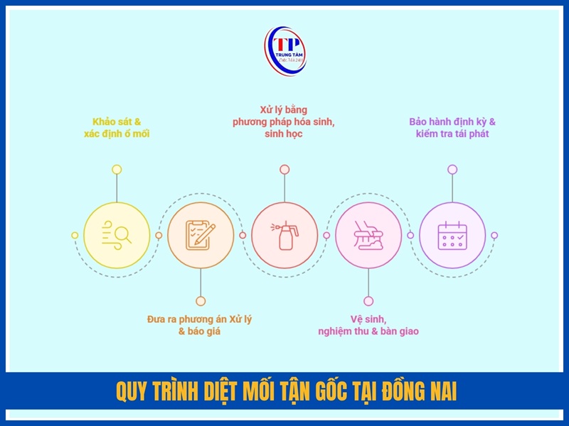 Quy trình diệt mối tận gốc tại Đồng Nai