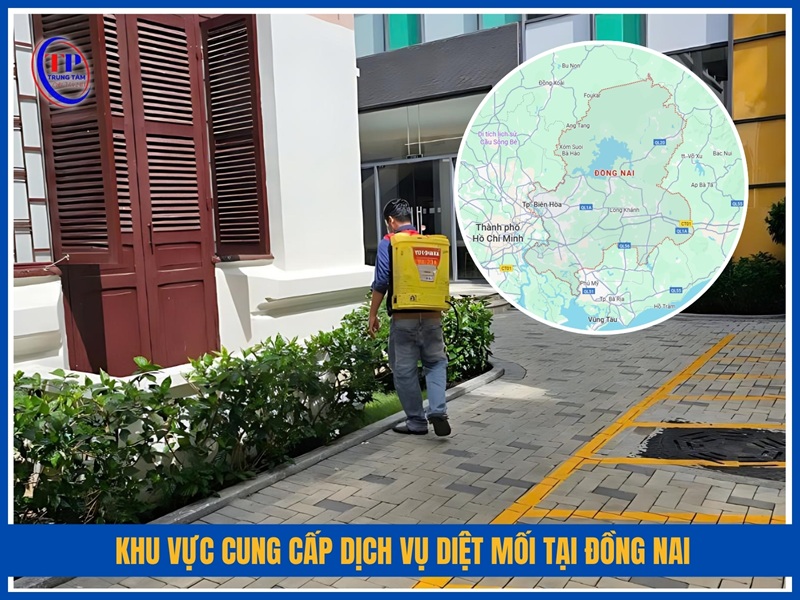 Khu vực cung cấp dịch vụ diệt mối tại Đồng Nai