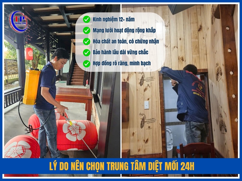 Lý do nên chọn Trung Tâm Diệt Mối 24H