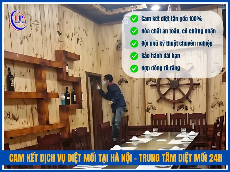 Cam kết dịch vụ diệt mối tại Hà Nội của Trung Tâm Diệt Mối 24H