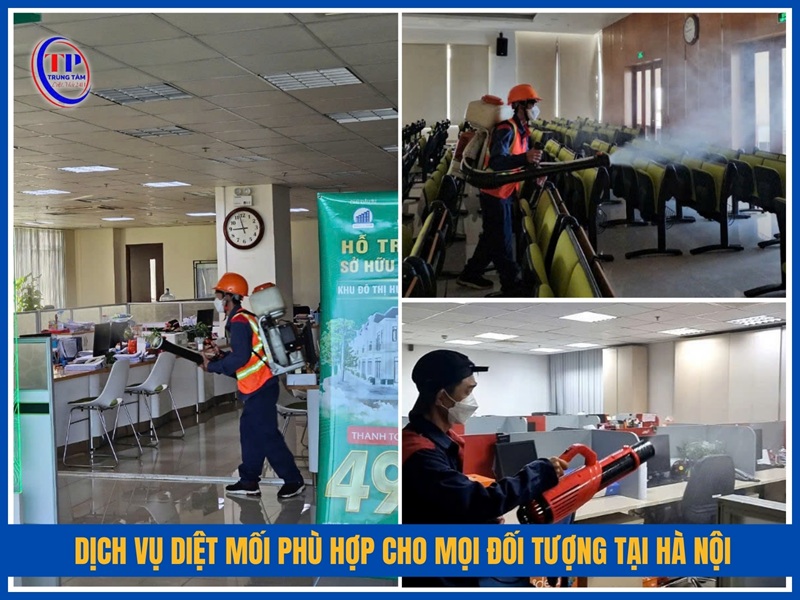 Dịch vụ diệt mối phù hợp cho mọi đối tượng tại Hà Nội