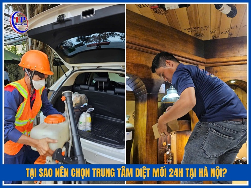 Tại sao nên chọn Trung Tâm Diệt Mối 24H tại Hà Nội?