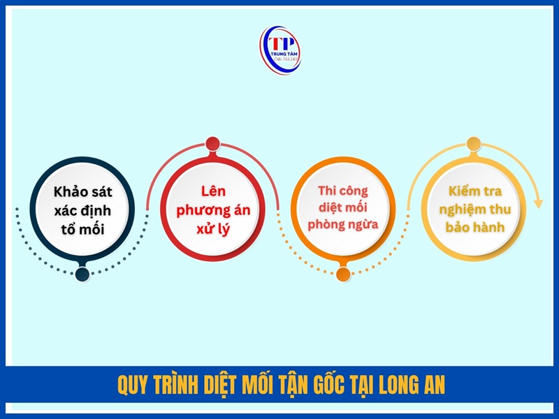 Quy trình diệt mối tận gốc tại Long An