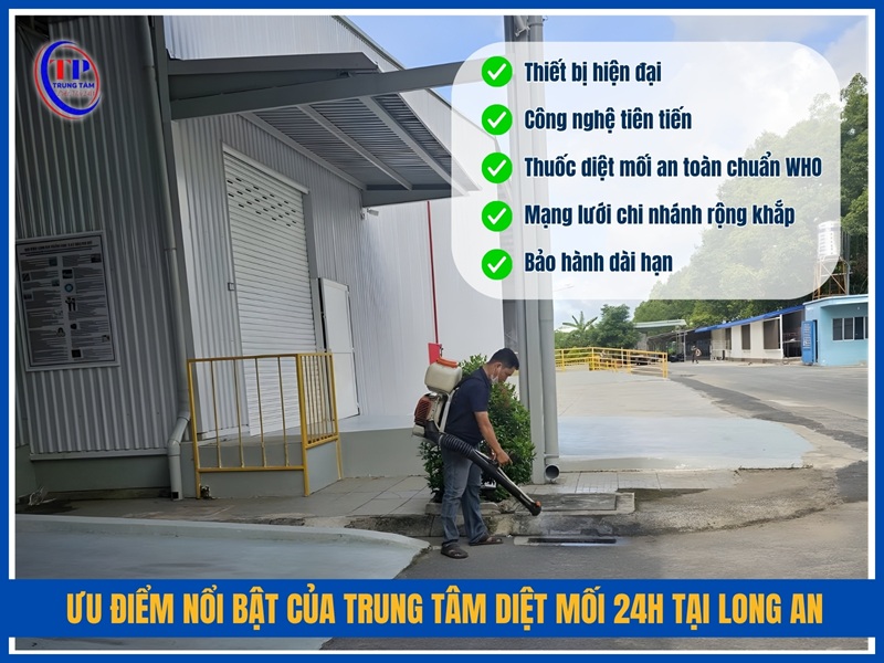 Ưu điểm nổi bật của Trung Tâm Diệt Mối 24H tại Long An