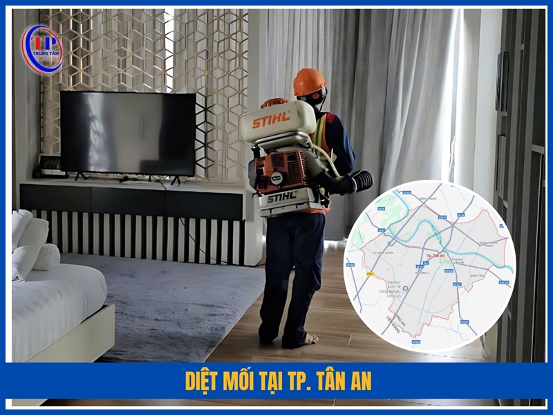 Diệt mối tại TP. Tân An