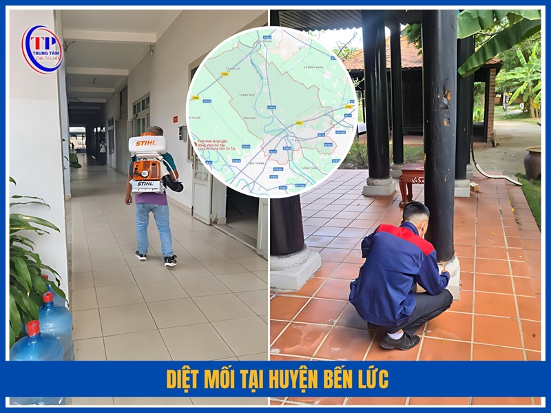Diệt mối tại huyện Bến Lức