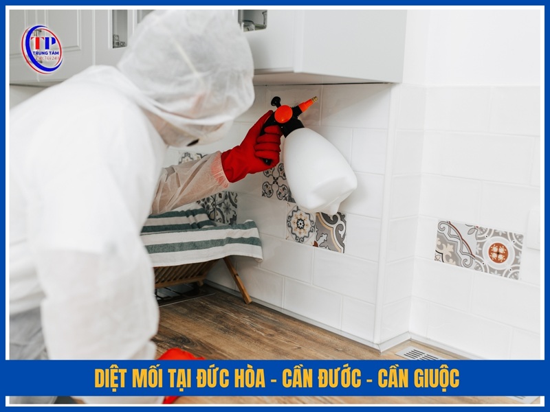 Diệt mối tại Đức Hòa – Cần Đước – Cần Giuộc