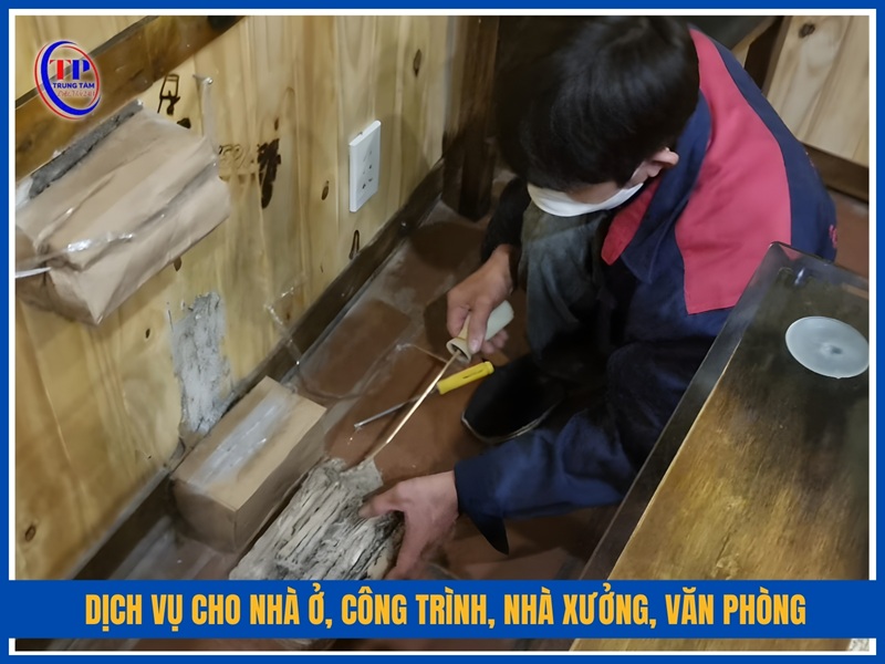 Dịch vụ cho nhà ở, công trình, nhà xưởng, văn phòng