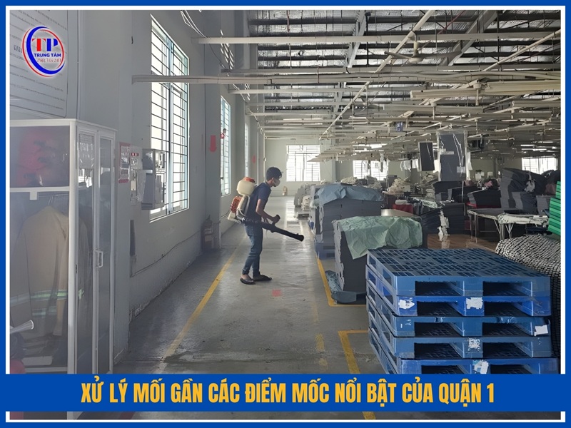 Xử lý mối gần các điểm mốc nổi bật của Quận 1