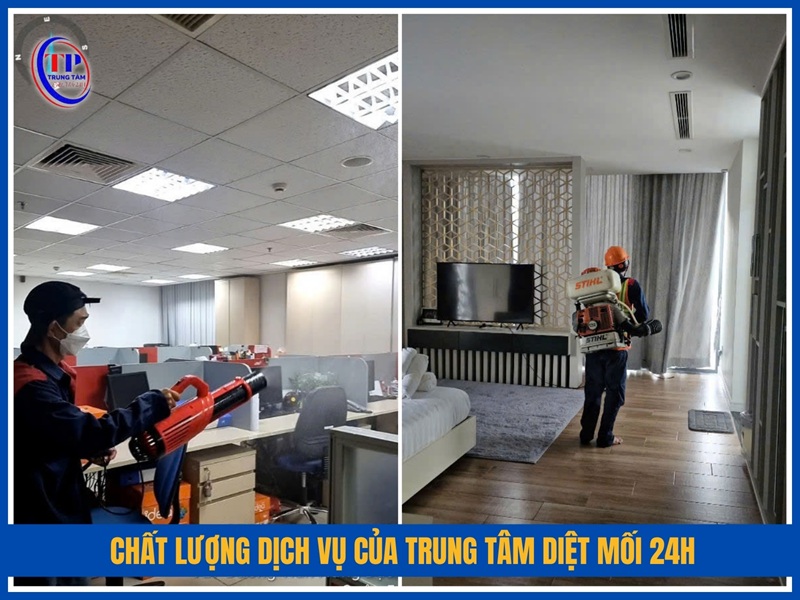 Tại sao khách hàng tại Quận 1 tin tưởng Trung Tâm Diệt Mối 24H?