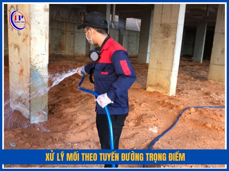 Xử lý mối theo tuyến đường trọng điểm