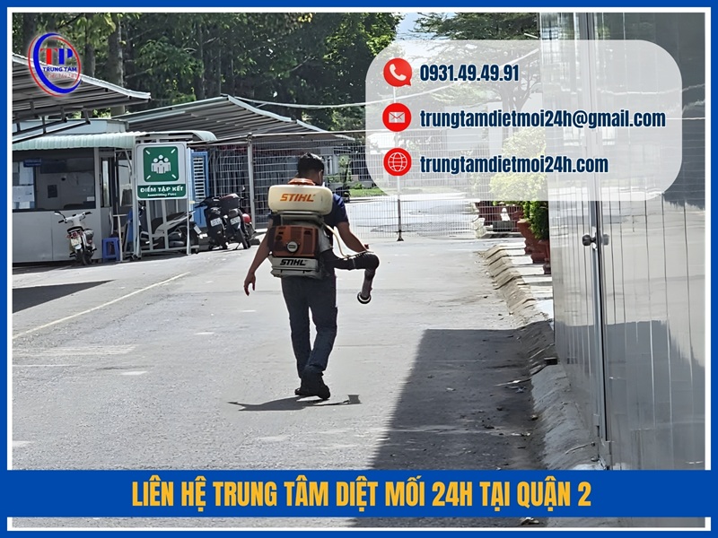 Liên hệ Trung Tâm Diệt Mối 24H tại Quận 2