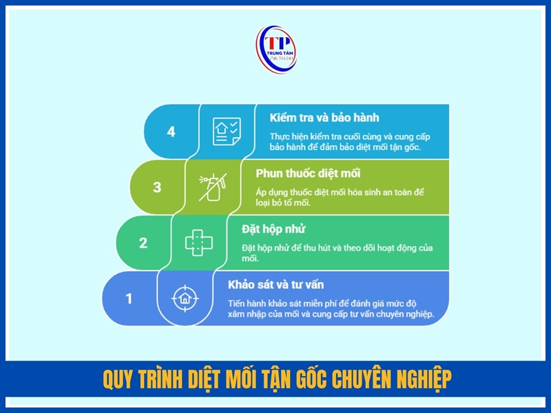 Quy trình diệt mối tận gốc chuyên nghiệp