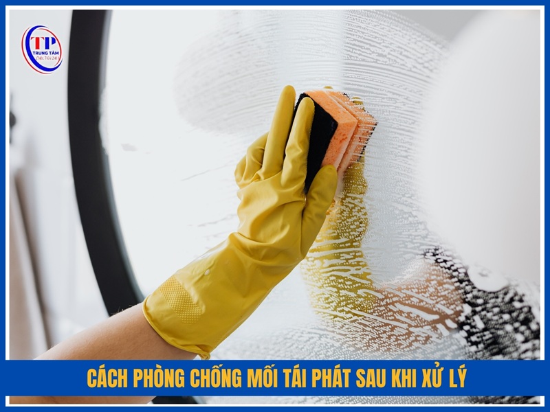 Cách phòng chống mối tái phát sau khi xử lý