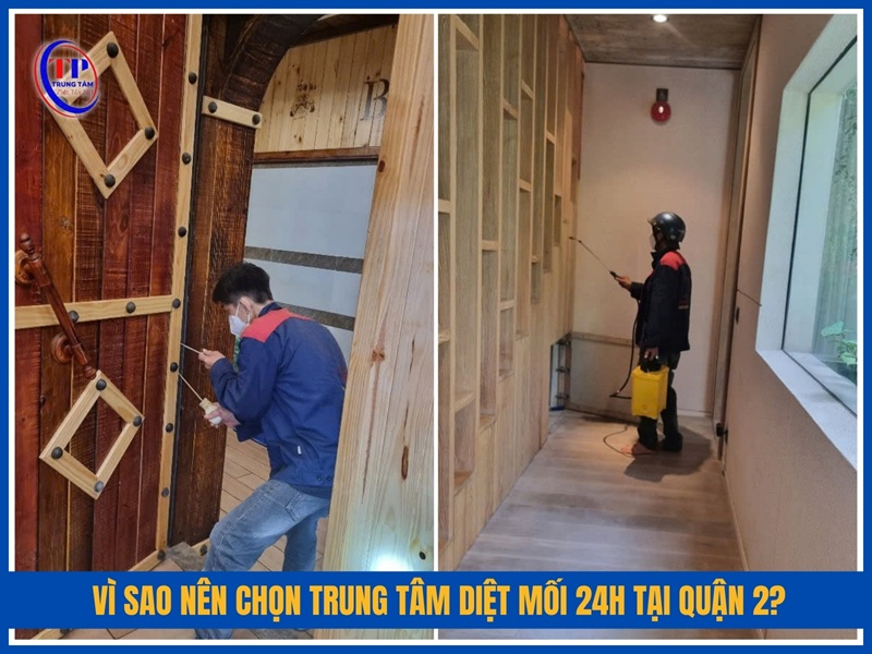 Vì sao nên chọn Trung Tâm Diệt Mối 24H tại Quận 2?