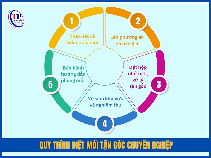 Quy trình diệt mối tận gốc chuyên nghiệp