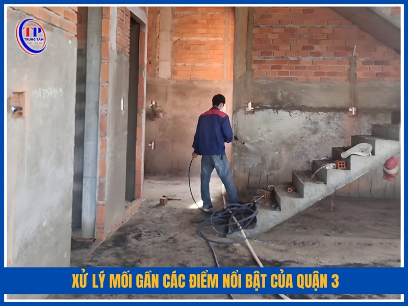 Xử lý mối gần các điểm nổi bật của Quận 3