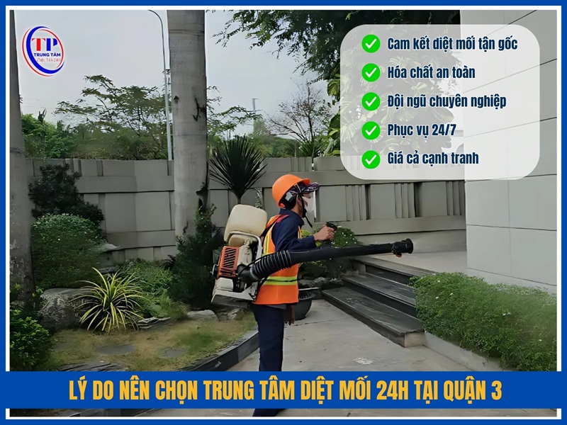 Lý do nên chọn Trung Tâm Diệt Mối 24H tại Quận 3