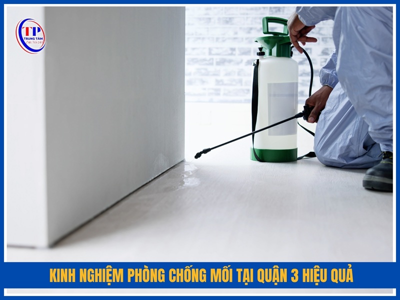 Kinh nghiệm phòng chống mối công trình tại Quận 3 hiệu quả