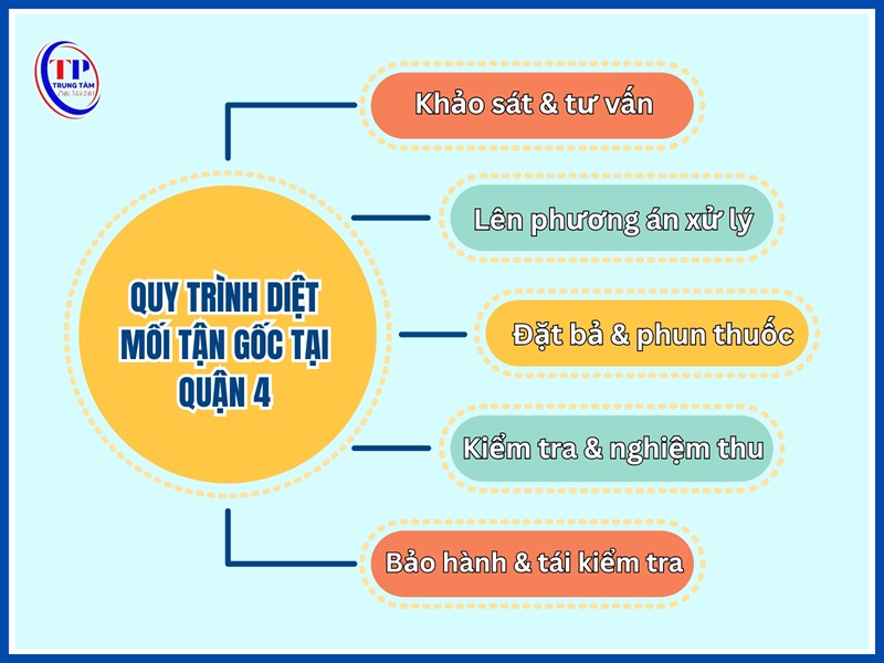 Quy trinh diet moi tan goc tai Quan 4 cua Trung Tam Diet Moi 24H