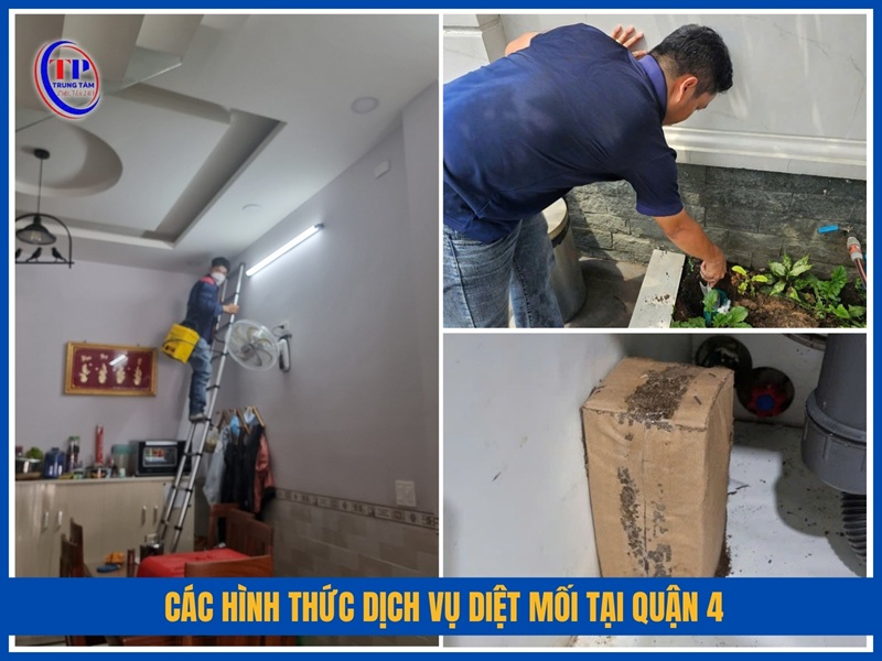 Các hình thức dịch vụ diệt mối tại Quận 4