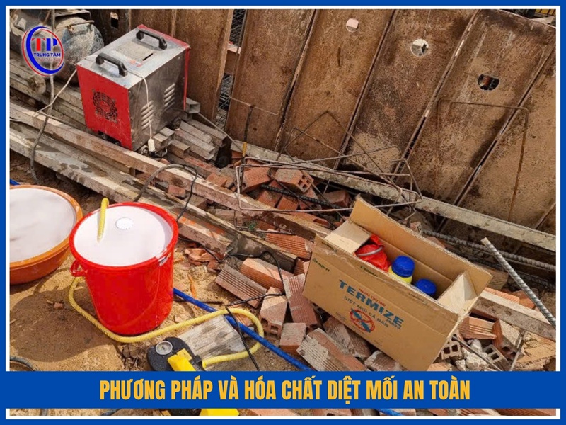 Phương pháp và hóa chất diệt mối an toàn