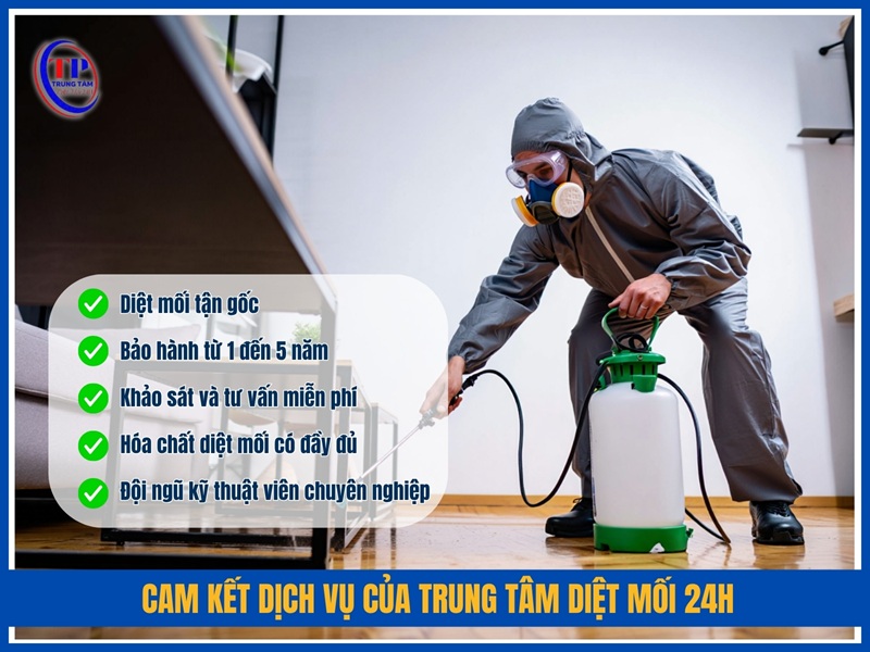 Cam kết dịch vụ của Trung Tâm Diệt Mối 24H