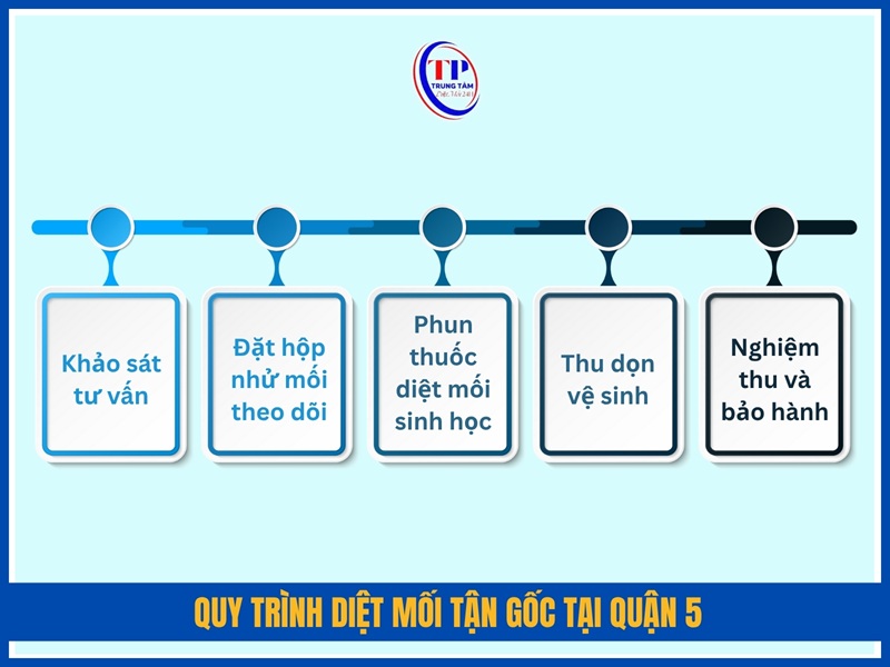 Quy trình diệt mối tận gốc tại Quận 5 của Trung Tâm Diệt Mối 24H