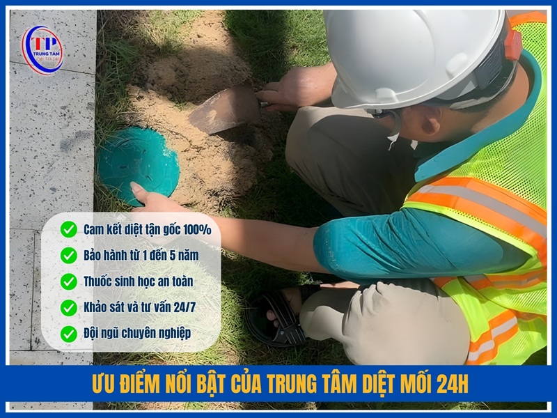 Ưu điểm nổi bật của Trung Tâm Diệt Mối 24H