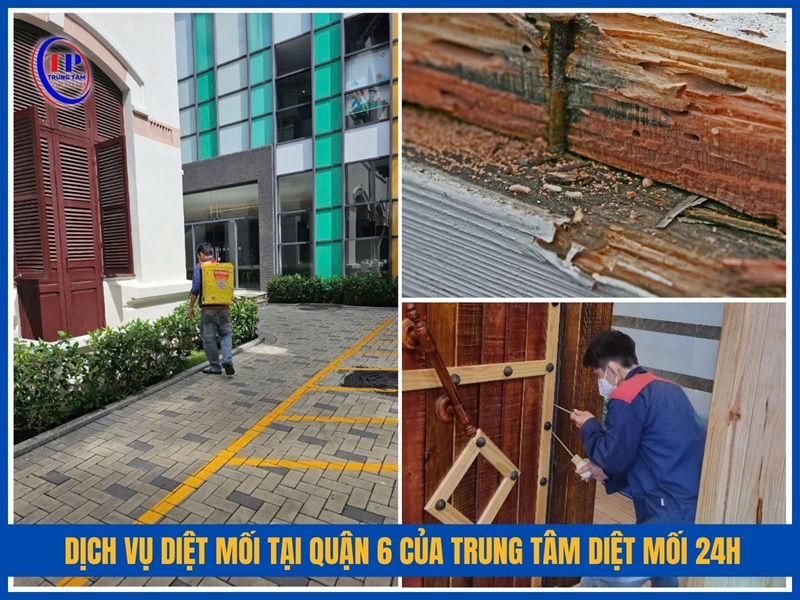 Dich vu diet moi tai Quan 6 cua Trung Tam Diet Moi 24H