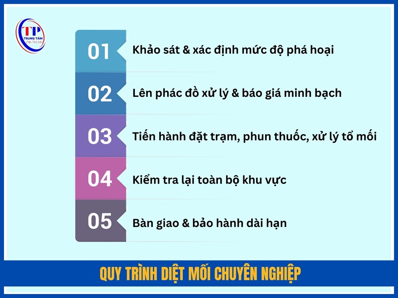 Quy trình diệt mối chuyên nghiệp